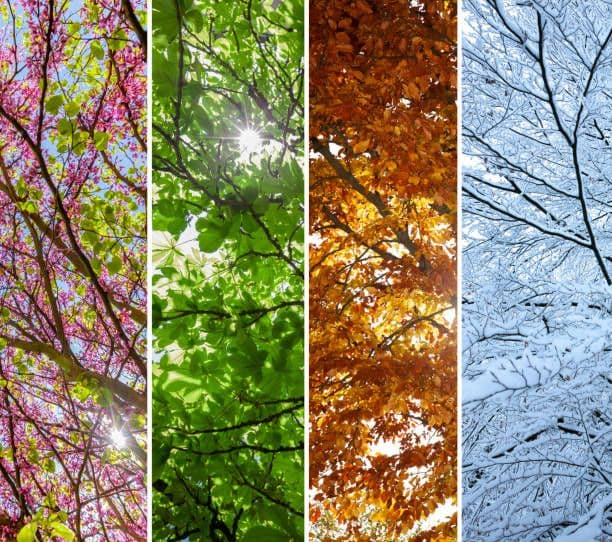 season